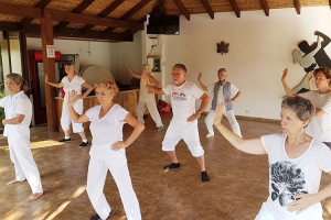 Tai Chi Chuan estilo Chen