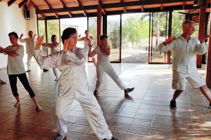 Clases Regulares de Tai Chi Chuan y Lohan Qigong